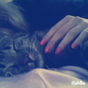 undercover-xxx avatar