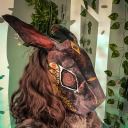 undercoverossifrage avatar