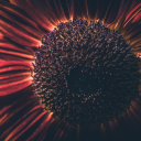 undergroundliaison avatar