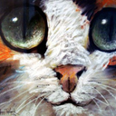 underjunipertrees avatar