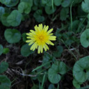 underneaththemoonandthestarss avatar