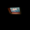 underscorenoog avatar