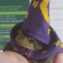 underscoreslicedbread avatar