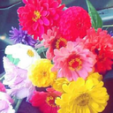 understandableloser avatar