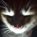 understanding-hold-on avatar