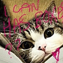 understandingthelights avatar