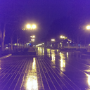 understatedocelot avatar