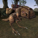 undersunandsky avatar