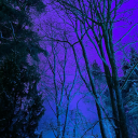 underthecinemalight avatar