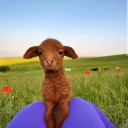 underthemoon1111 avatar