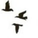 underthemoonsglow avatar