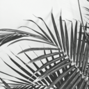 underthepalms avatar