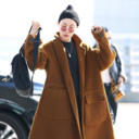 undertherosetree avatar