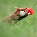 undertheskyroad avatar