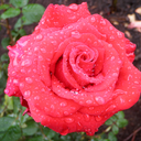 undertowandoverboard avatar