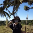 undisclosed-desires avatar