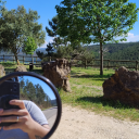 undressing-thewords avatar