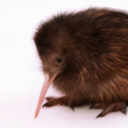 une-kiwi avatar