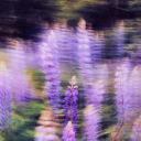 unearthlycreature avatar