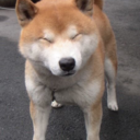 uneasyyhearts avatar