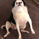 unediblesnack avatar