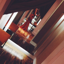 unelionnevoid2-blog avatar