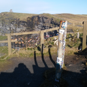 unemployedinfabuland avatar