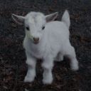 unemployedsage avatar