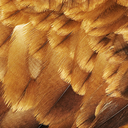 unesecretjour avatar