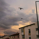 unetredepoussieres avatar