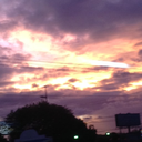 unexpectedfigtree avatar