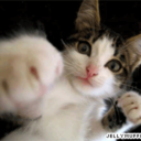 unexpectedlight-blog avatar