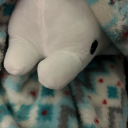 unfairempress avatar