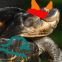 unfathomabletortoise avatar