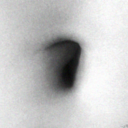 unfollowphile avatar