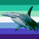 unfortunatelyashark avatar