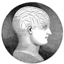 unfparalleled avatar