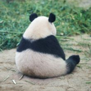 unhappy-panda avatar