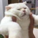 unhappymemes-blog avatar