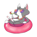 unicat-w avatar