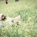 unicorn-plushie avatar