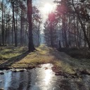 unicorn-secrets avatar