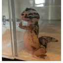 unicornbaby741 avatar