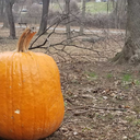 unicornbabycorn avatar