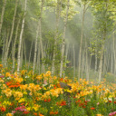 unicorncharade avatar