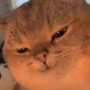 unicornforscale avatar