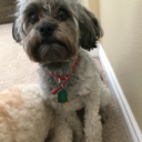 unicornicopia1 avatar