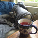 unicornisalwaysreal avatar