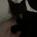 unicornprincess666 avatar