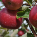 unicornsandbroomsticks avatar